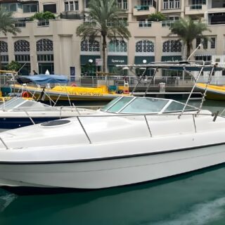 private speed boat in dubai marina