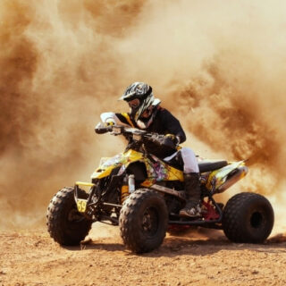 Raptor adventure near me